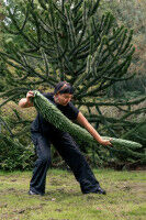 Veranstaltung - Pflanzenwissen - UNI-BONN Pflanzenwissen